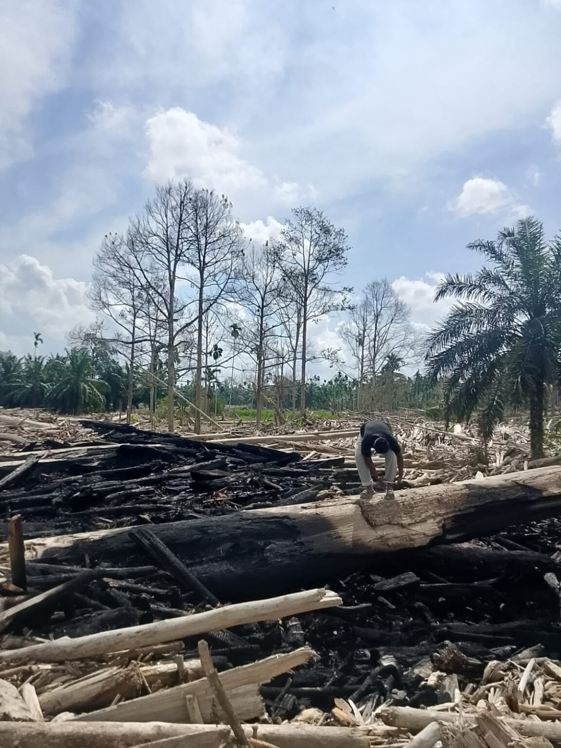 Tumpukan Kayu Sisa Banjir Terbakar Dusun supeng